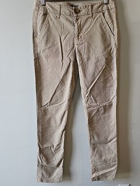 American Eagle Stretch Size 8 Skinny Pants